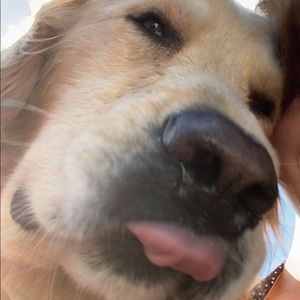 Meet your Posher, Tessa